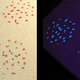 Illustration for article titled Your Floor Can Glow in the Dark with Luminescent Gravel
